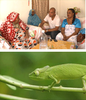 En Quête d'Aventure - Mayotte