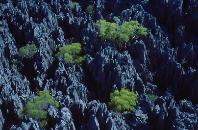 Ushuaïa nature