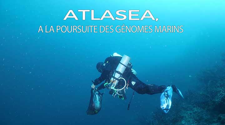 Atlasea, à la poursuite des génômes marins