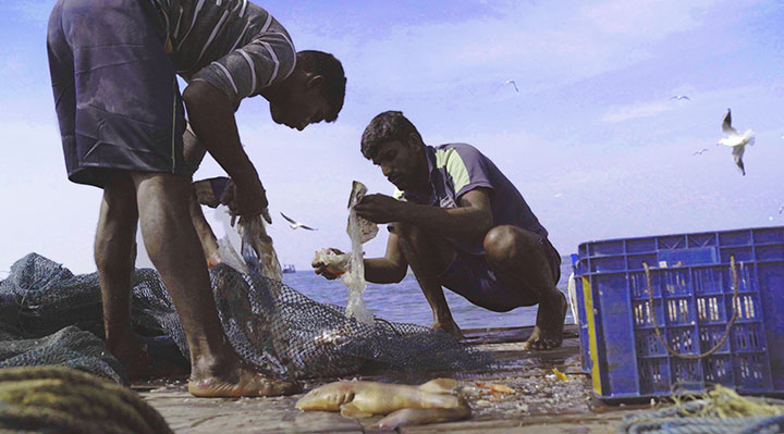 Against the tide photo