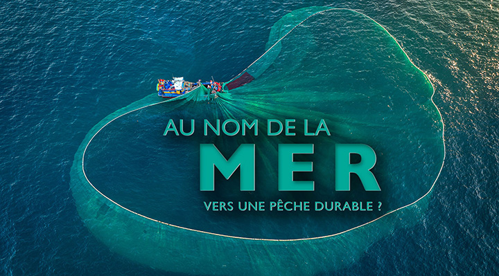 Au nom de la mer, vers une pêche durable
