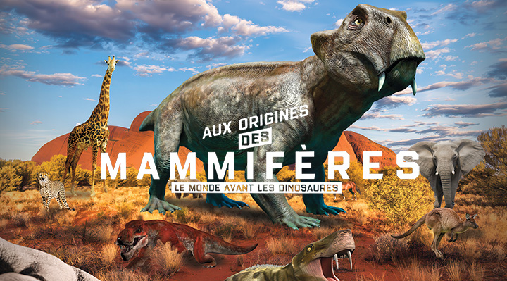 Aux origines des mammif&egrave;res