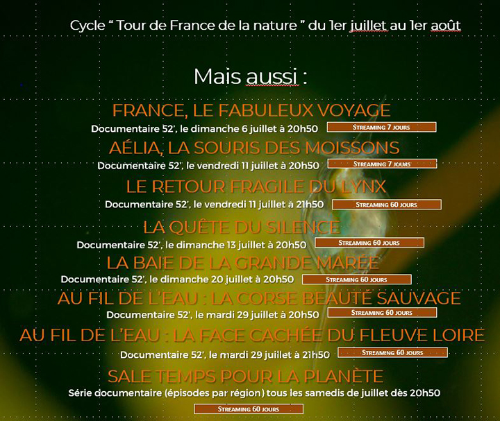 Cycle Eté nature
