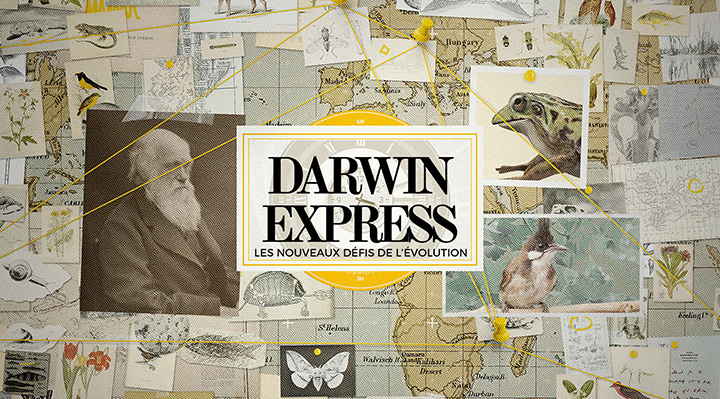 Darwin Express, les nouveaux d&eacute;fis de l'&eacute;volution