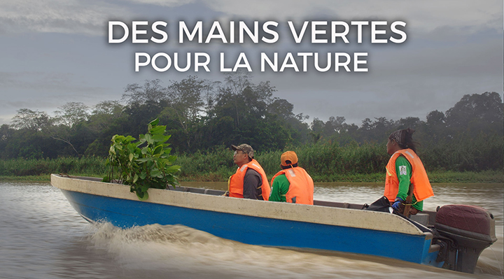Des mains vertes pour la nature