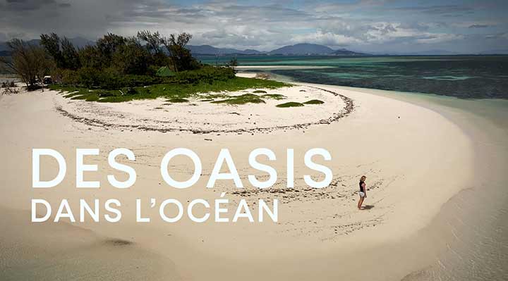 Des oasis dans l'océan