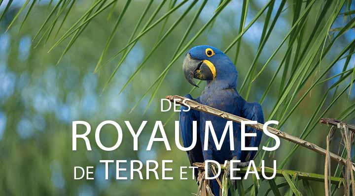 Des royaumes de terre et d'eau