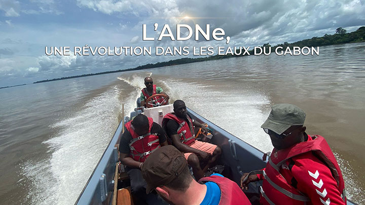 L'ADNe, une révolution dans les eaux du Gabon