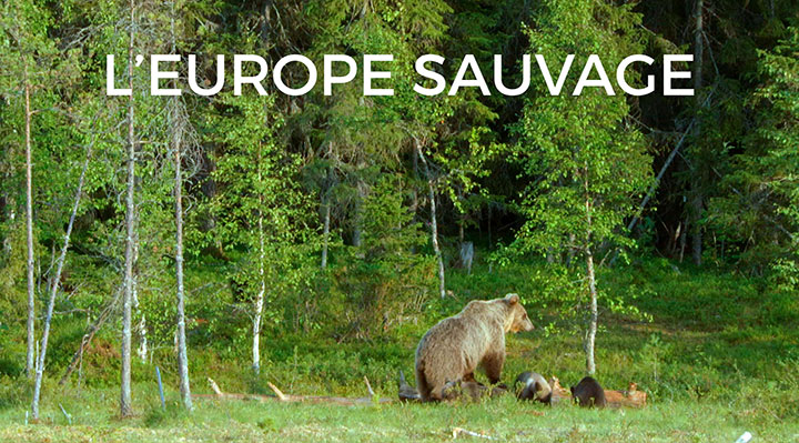 L'Europe sauvage