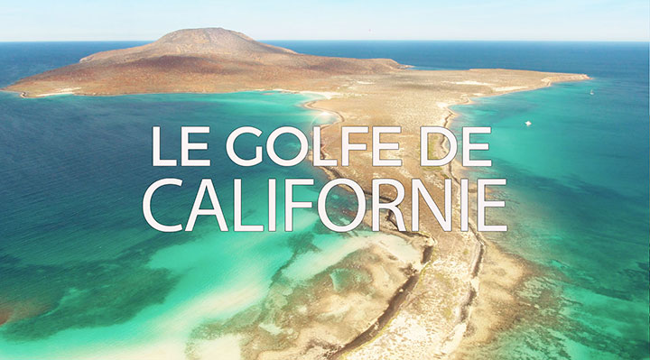 Le golfe de Californie