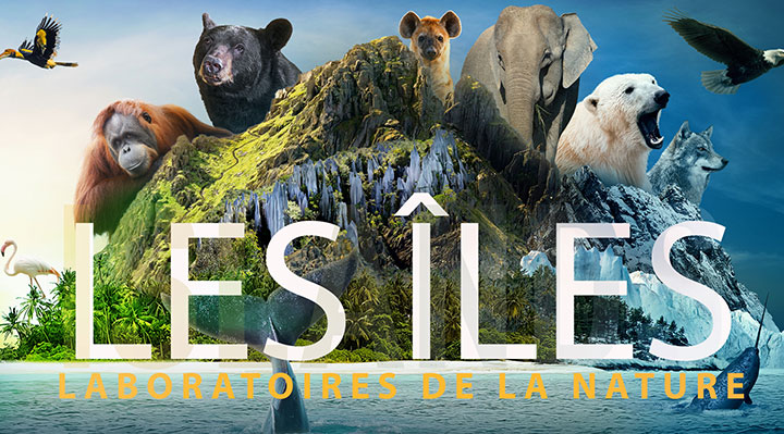 Les îles, laboratoires de la nature