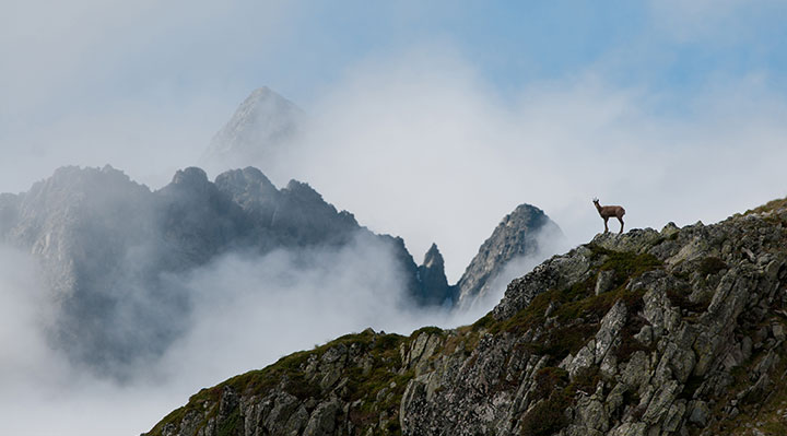 Les Pyrénées secrètes