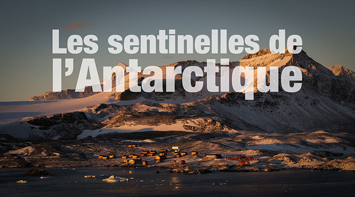 Les sentinelles de l'Antarctique