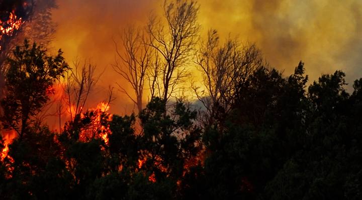 M&eacute;t&eacute;o Alerte Incendies