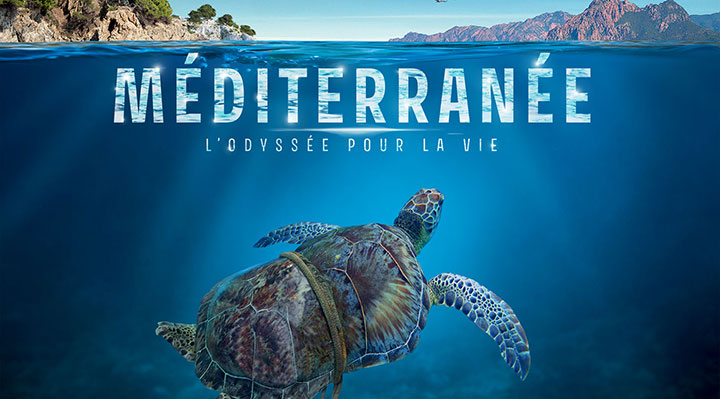 Méditerranée, l'odyssée pour la vie