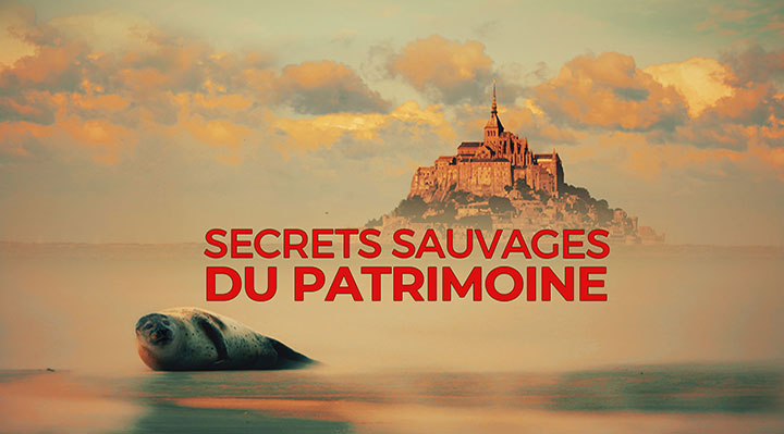 Secrets sauvages du patrimoine