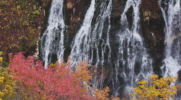 Terres extrêmes au Japon