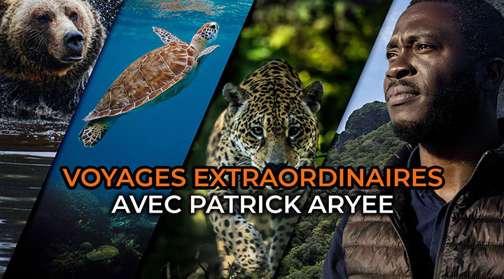 Voyages extraordinaires avec Patrick Aryee