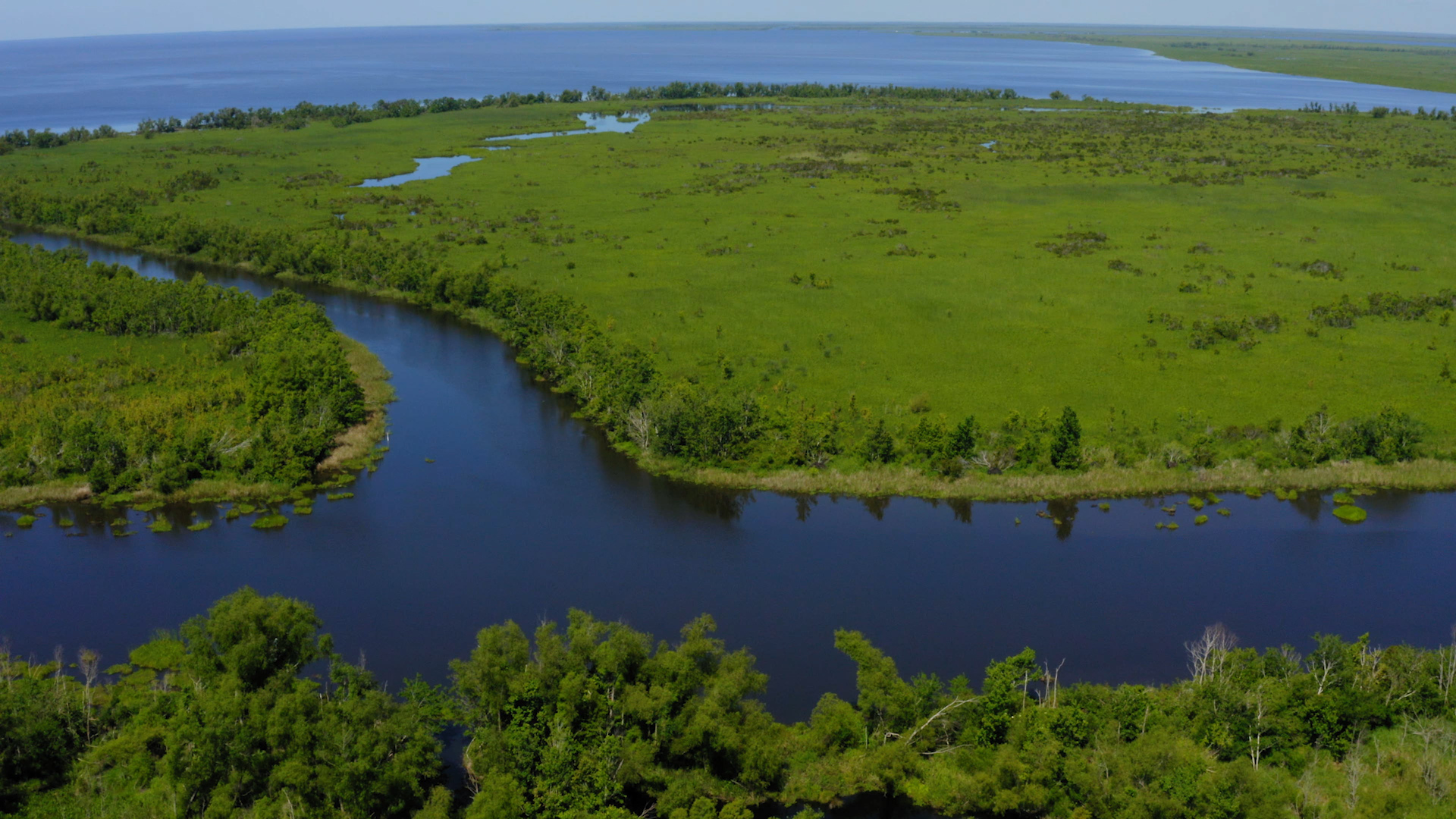 20_Louisiana_Jean Lafitte_drone 05.jpg