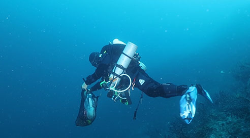 Atlasea,-à-la-poursuite-des-génomes-marins.jpg