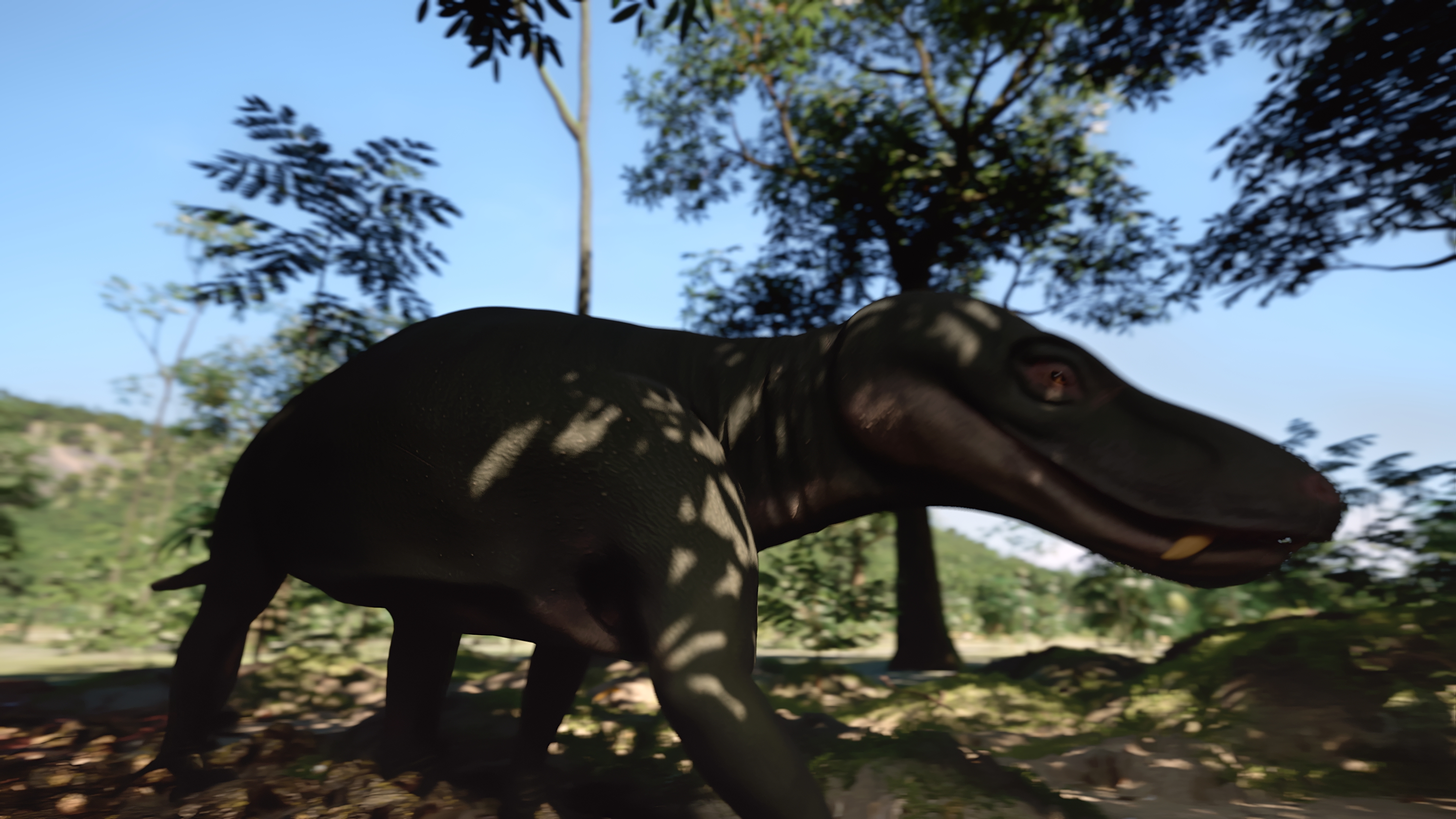 Aux origines des mammifères, le monde avant les dinosaures (c) Pernelmedia (27).jpg