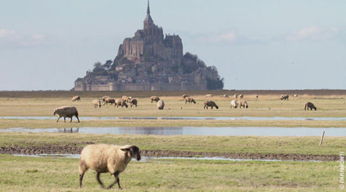 BaieGrandeMaree.jpg