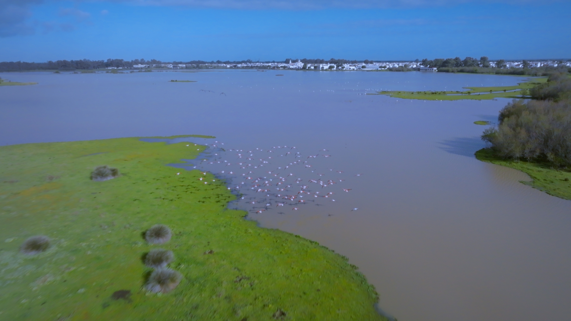 De royaumes de terre et d'eau S1E3 Le parc espagnol de Donana (c) ZED (10).jpg