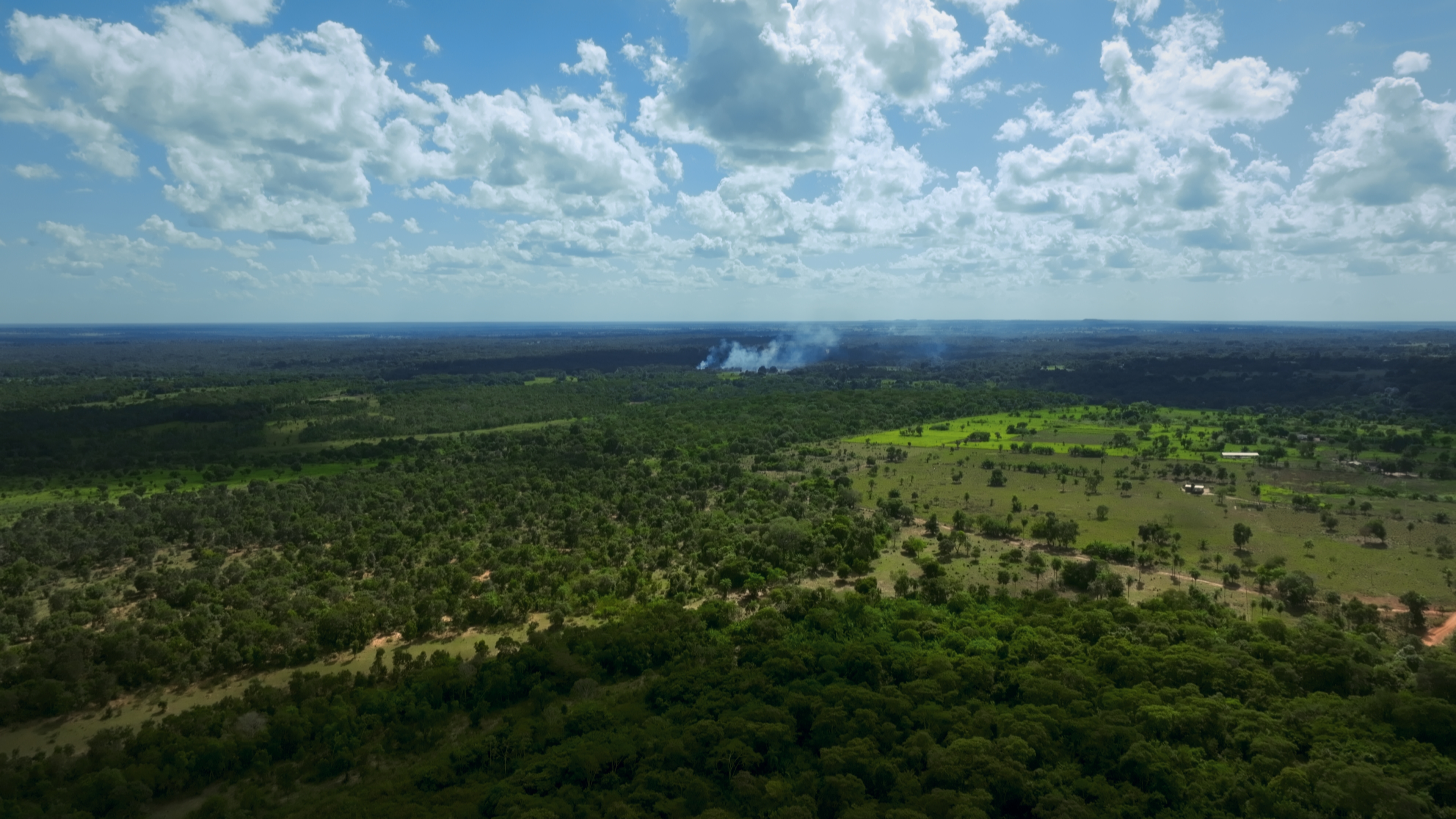 Des royaumes de terre et d'eau S1E2 Le Pantanal brésilien ©ZED (4) - Copie.jpg