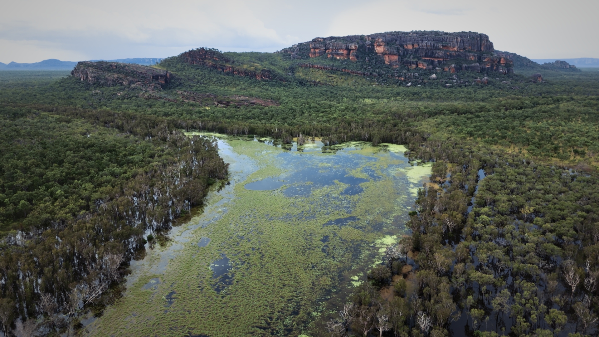 Des royaumes de terre et d'eau S1E4 Le Kakadu australien ©ZED (9).jpg