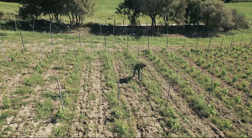 LA COURSE AU CLIMAT (c) Grand Angle Productions et Elles Phoenix (7).png