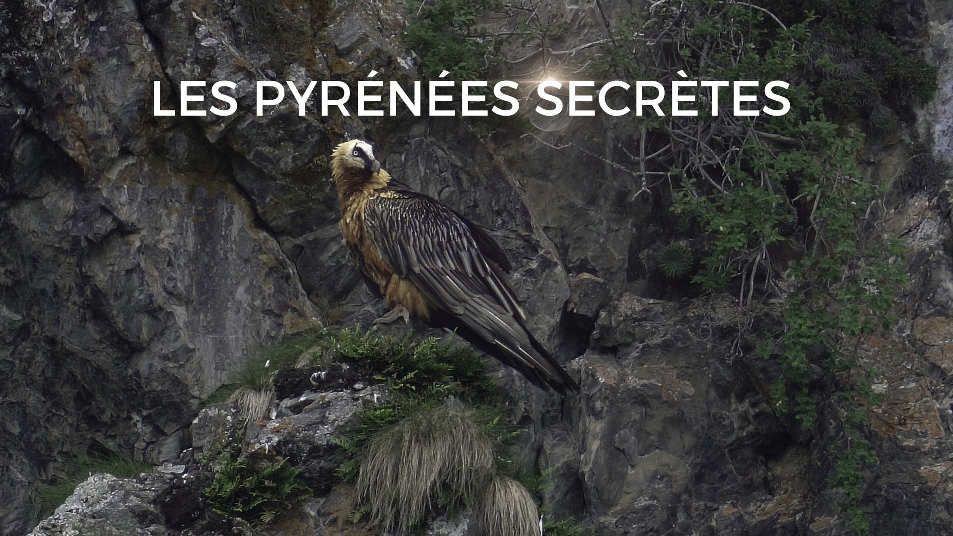LES PYRENES SECRETES EPISODE 3 VISUEL CATCHUP.png