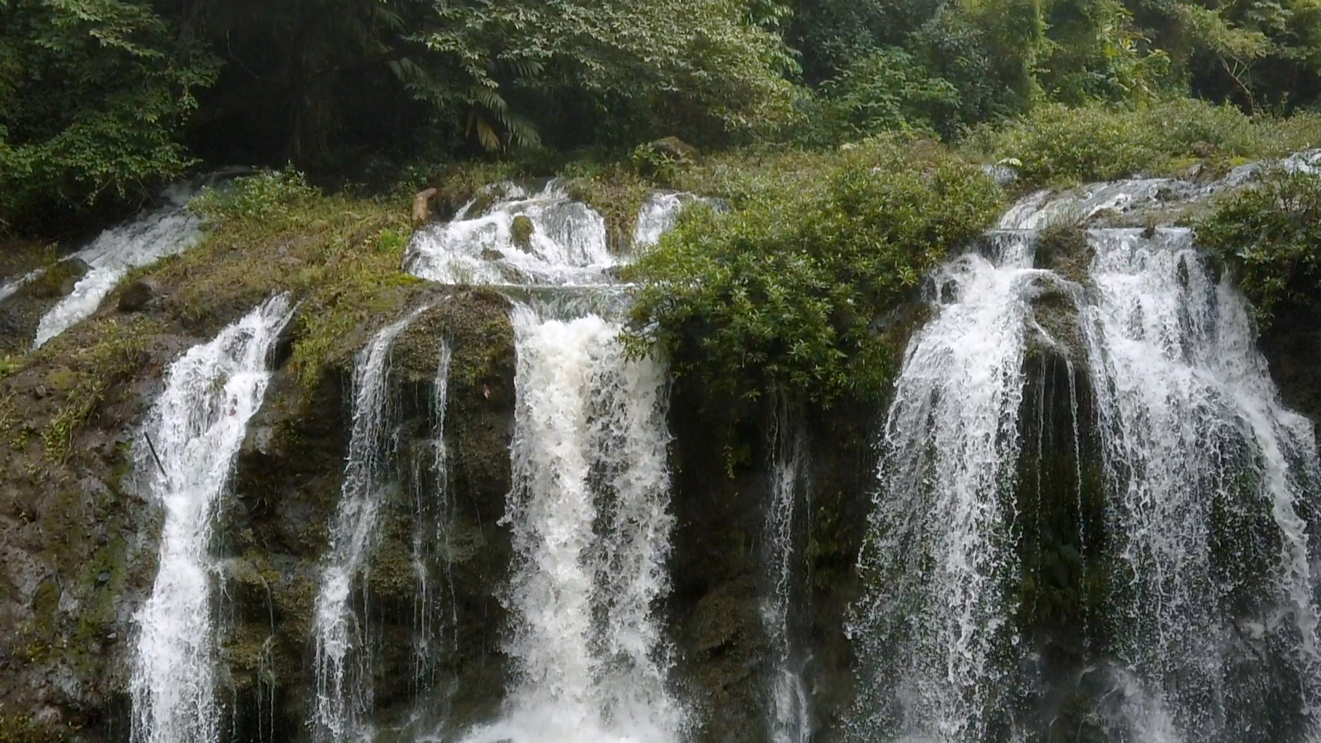 Nature,-le-retour-du-sauvage-visuel-avec-titre_E4.jpg