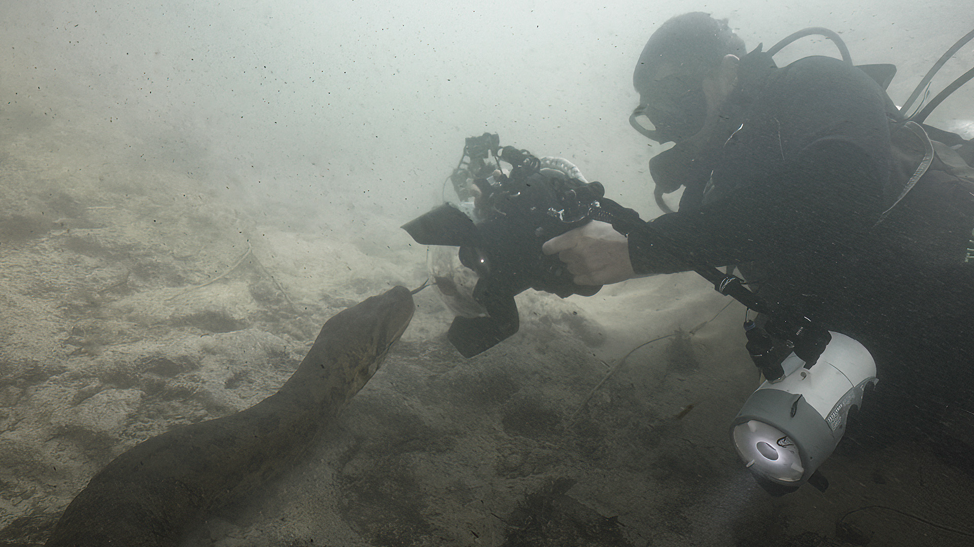 Objectif wild S2E1-catchup 1920x1080.jpg