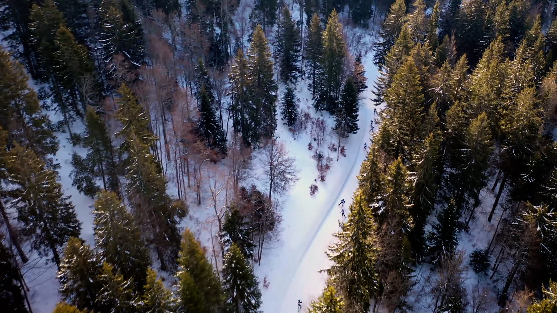 Sale temps pour la planète S13E3 Alpes, le défi climatique (c) Elle est pas belle la vie (1).jpg