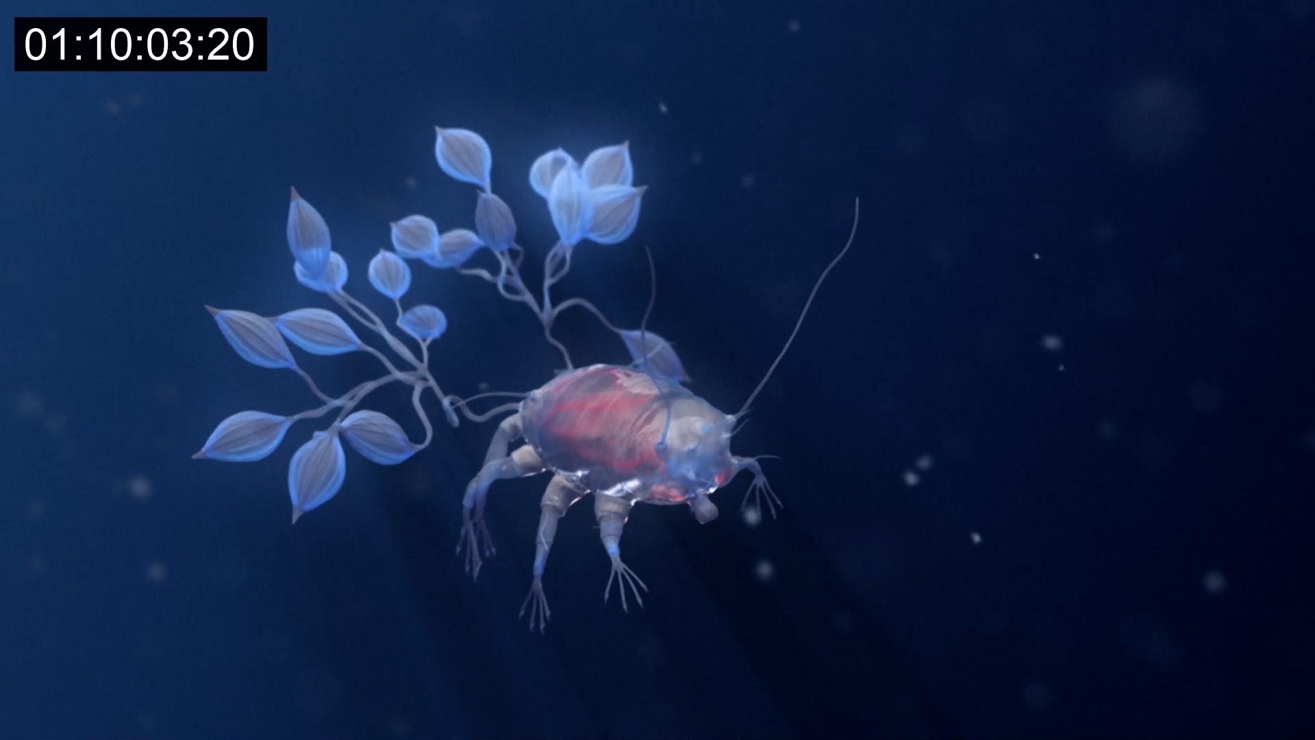 Tardigrade, l'animal indestructible (c) ARTE France - CAPA Presse 2024 (15).jpg