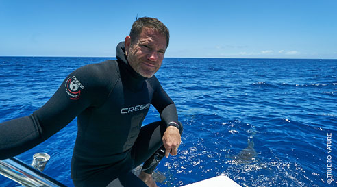 alarencontredesrequins1.jpg