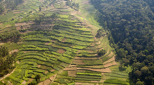 lafriquevueducielouganda.jpg