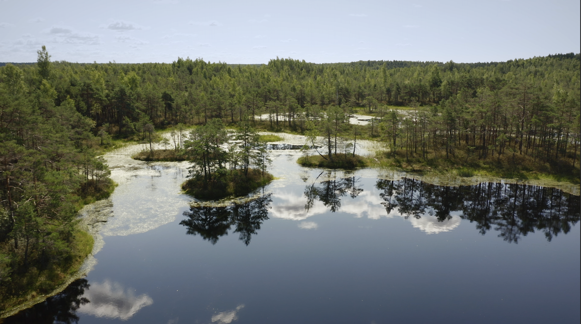 préservation des marais.png