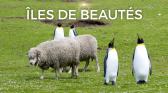 ILES_DE_BEAUTES_SERIE_EP_FALKLANDS_VISUEL_AVEC_TITRE.jpg
