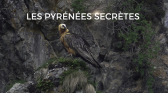 LES PYRENES SECRETES EPISODE 3 VISUEL CATCHUP.png