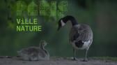 PARIS VILLE NATURE VISUEL CATCHUP.png