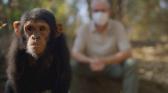 Planet-killers-S2E1-catchup.jpg