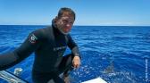 alarencontredesrequins1.jpg