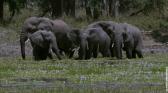 gorongosa.jpg