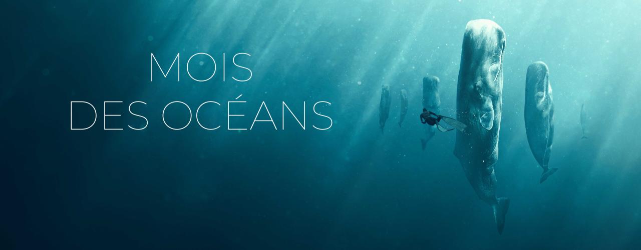 Mois des océans