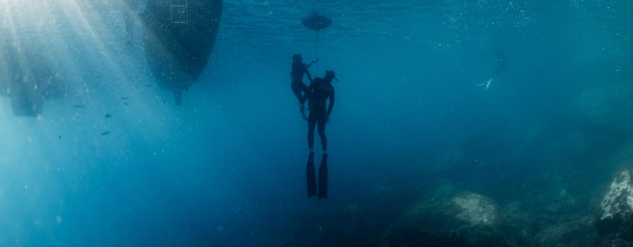 En immersion avec Alice Belaïdi