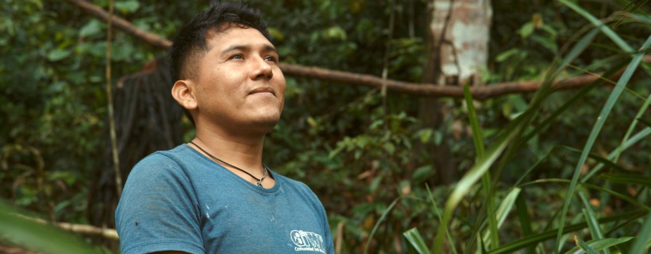 Les lisières de la forêt