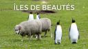 ILES_DE_BEAUTES_SERIE_EP_FALKLANDS_VISUEL_AVEC_TITRE.jpg