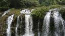 Nature,-le-retour-du-sauvage-visuel-avec-titre_E4.jpg