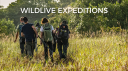 WILDLIVE EXPEDITIONS VISUEL CATCHUP.png